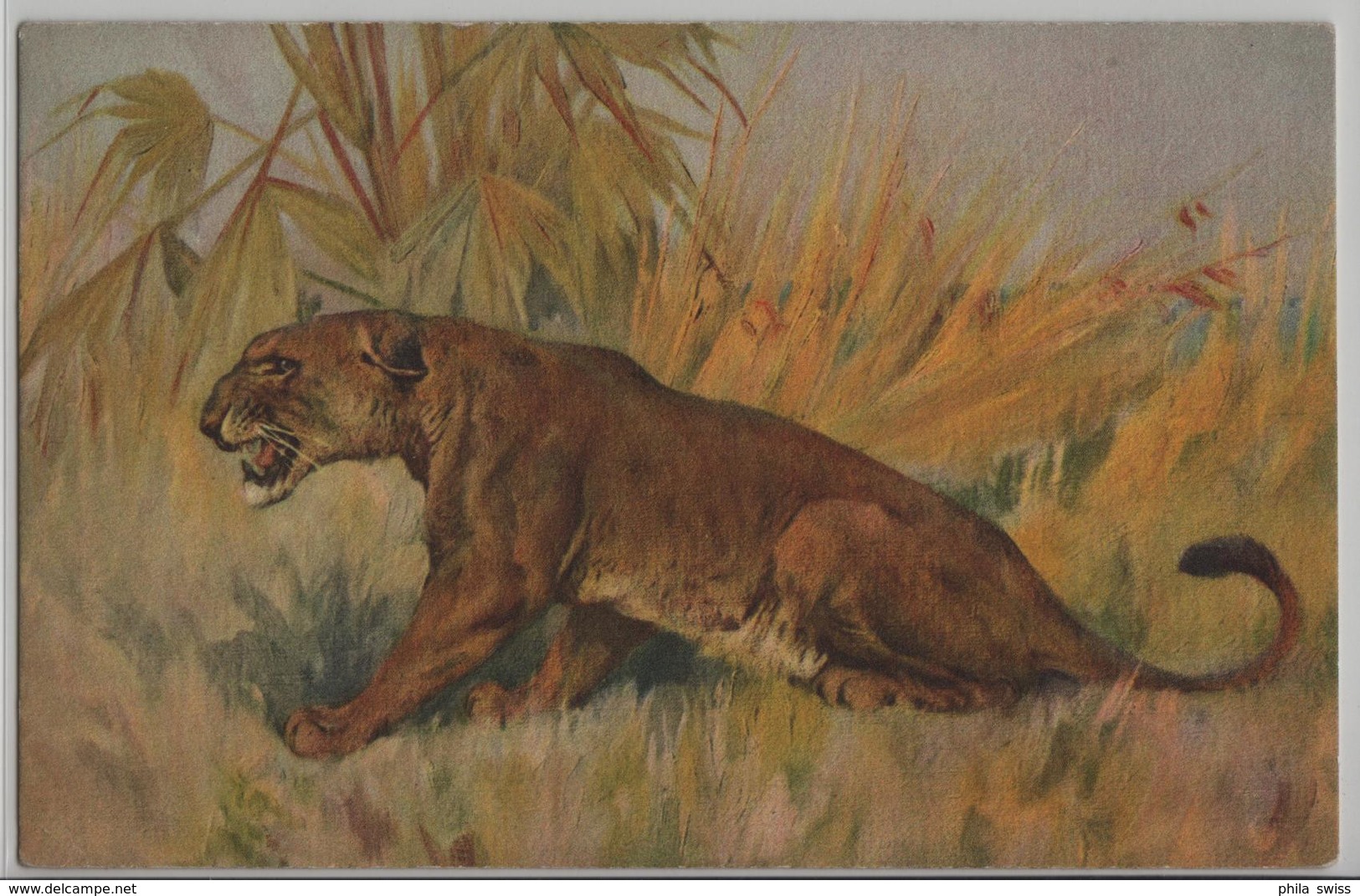 Lion Löwe - Künstlerkarte No. 88 - Leeuwen