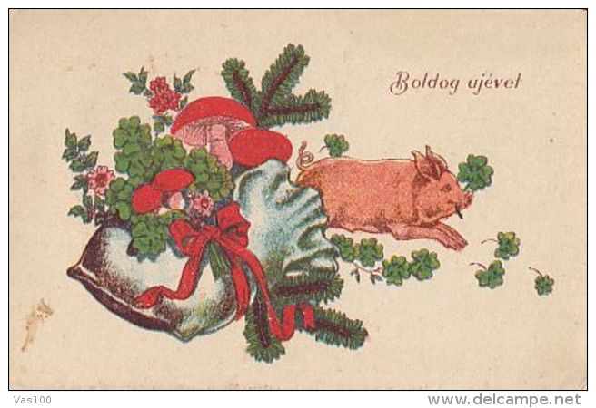 CPA MUSHROOMS, CLOVER, FLOWERS, PIG, NEW YEAR GREETINGS - Champignons