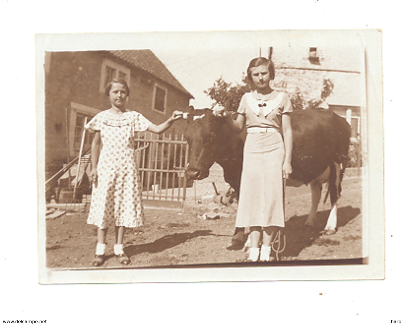 Photo ( +/- 6 X 9 Cm) Ferme, Fillette Avec Une Vache, Agriculture, Mais Où ???  - A SITUER - PRIX FIXE - Places