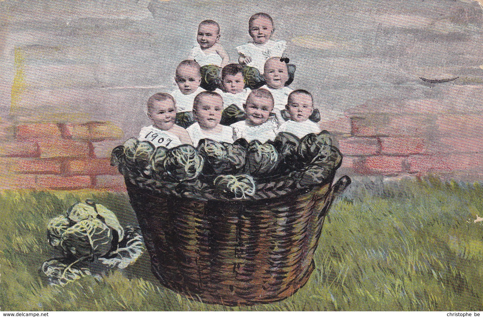 Baby, Bébé, Humour, Fantasy, Fantasie, Babies In A Basket With Vegetables (pk42581) - Cartes Humoristiques