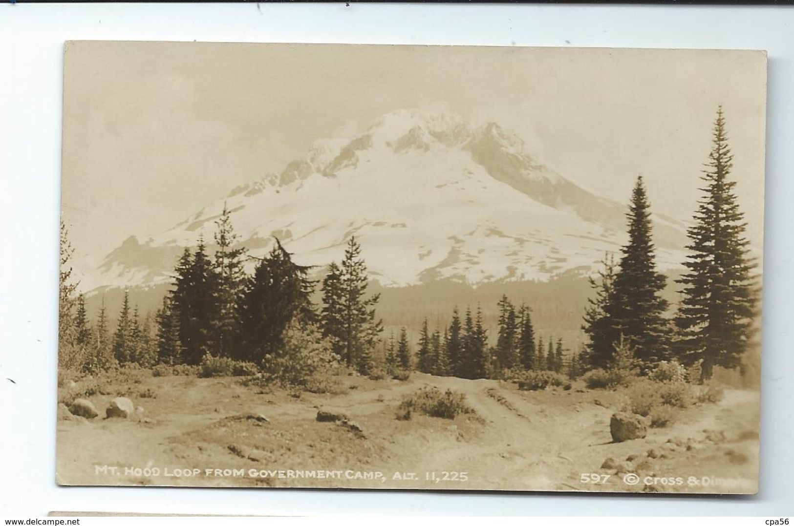 Old Postcard - Government Camp Loop - Mt Hoop - Autres & Non Classés