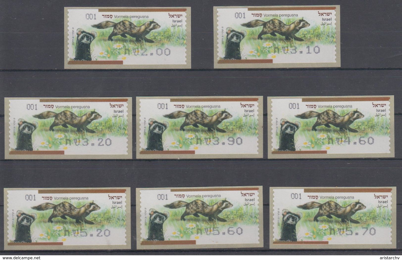 ISRAEL 2014 KLUSSENDORF ATM VORMELA PEREGUSNA MARBLED POLECAT FULL SET OF 8 STAMPS - Frankeervignetten (Frama)