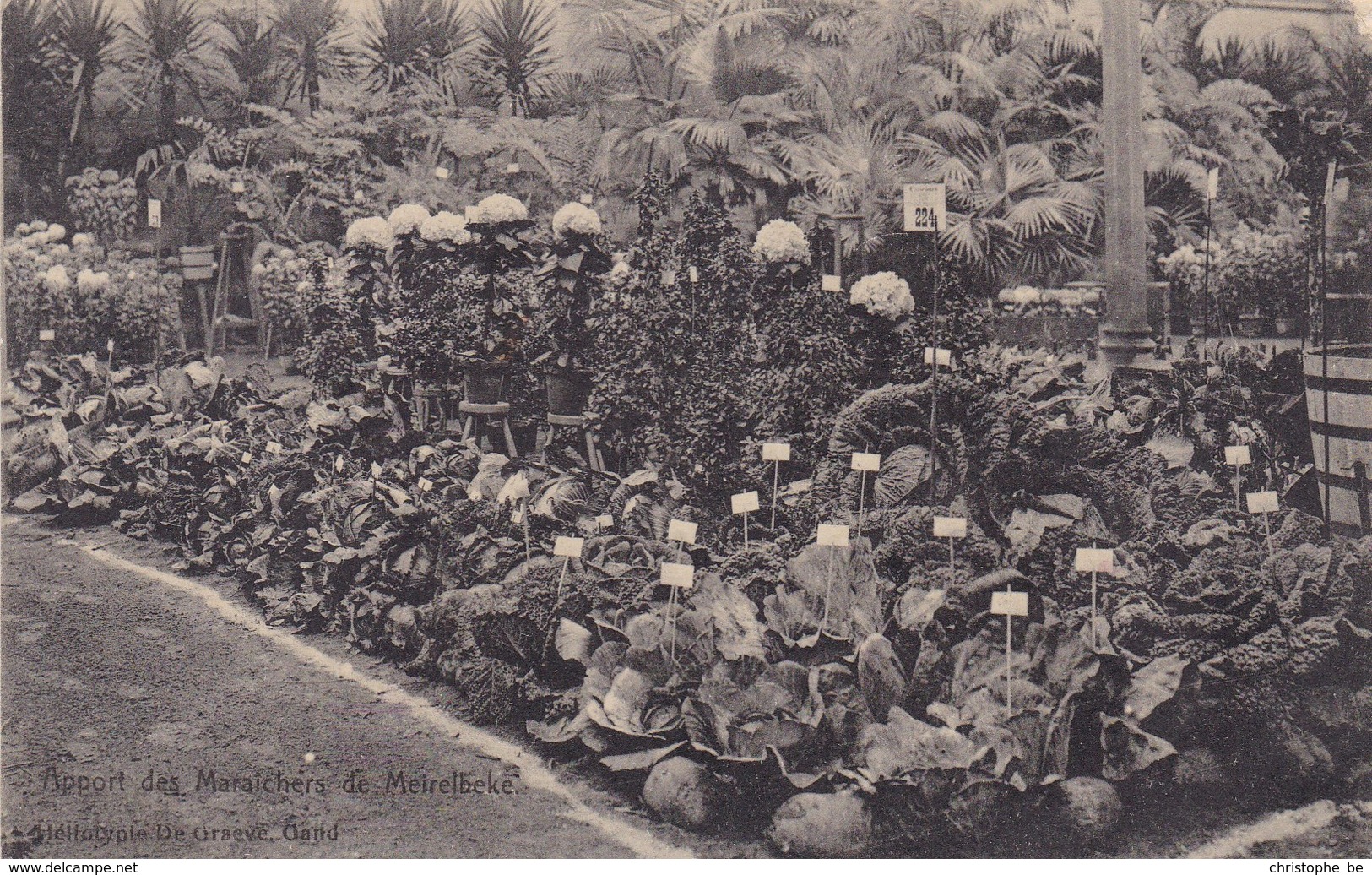 Gent, Gand, Société Royale D'agriculture Et De Botanique, Exposition Internationale De Floraculture (pk42680) - Gent