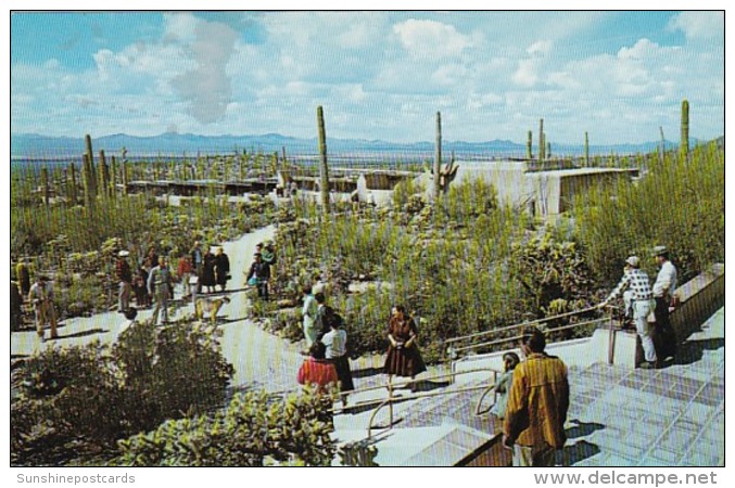 Arizona Tucson View From The Remada Porch Of The Arizona Sonora Desert Museum 1959 - Tucson