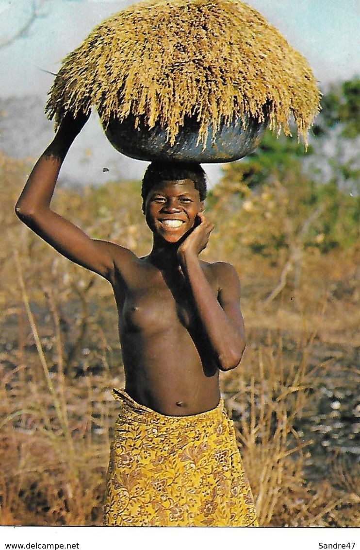 CPSM/gf DOUNA (Burkina Faso).  Jeune Africaine Aux Seins Nus De Retour à La Maison Avec La Récolte De Riz ...B395 - Burkina Faso