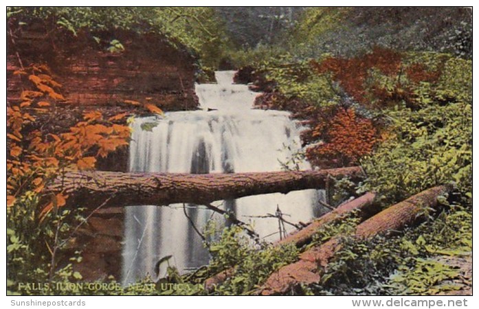 New York Falls At Ilion Gorge Near Utica - Utica