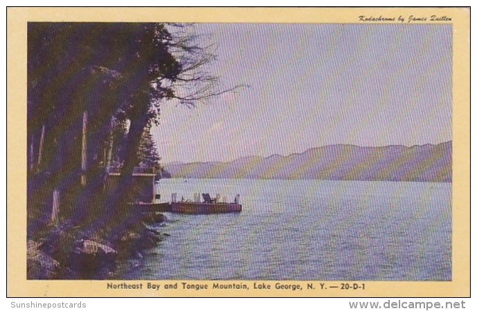 New York Lake George Northeast Bay And Tongue Mountain Dexter Press - Lake George