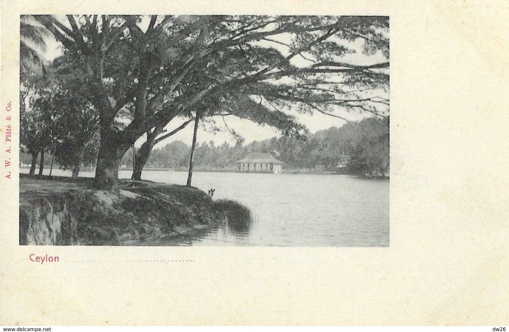 Sri Lanka (Ceylon, Ceylan) - Kandy Lake - Carte Dos Simple A.W.A. Plâté & Co, Non Circulée - Sri Lanka (Ceylon)