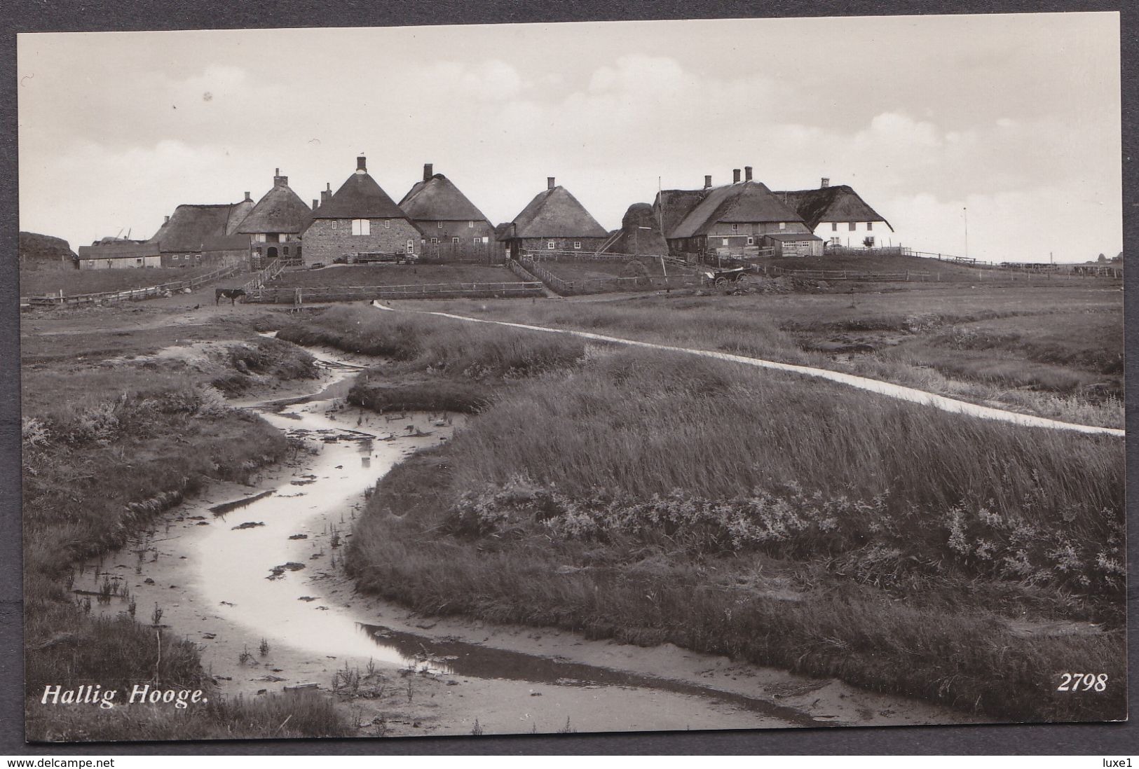 GERMANY ,  HALLIG  HOGE   ,  OLD  POSTCARD - Halligen