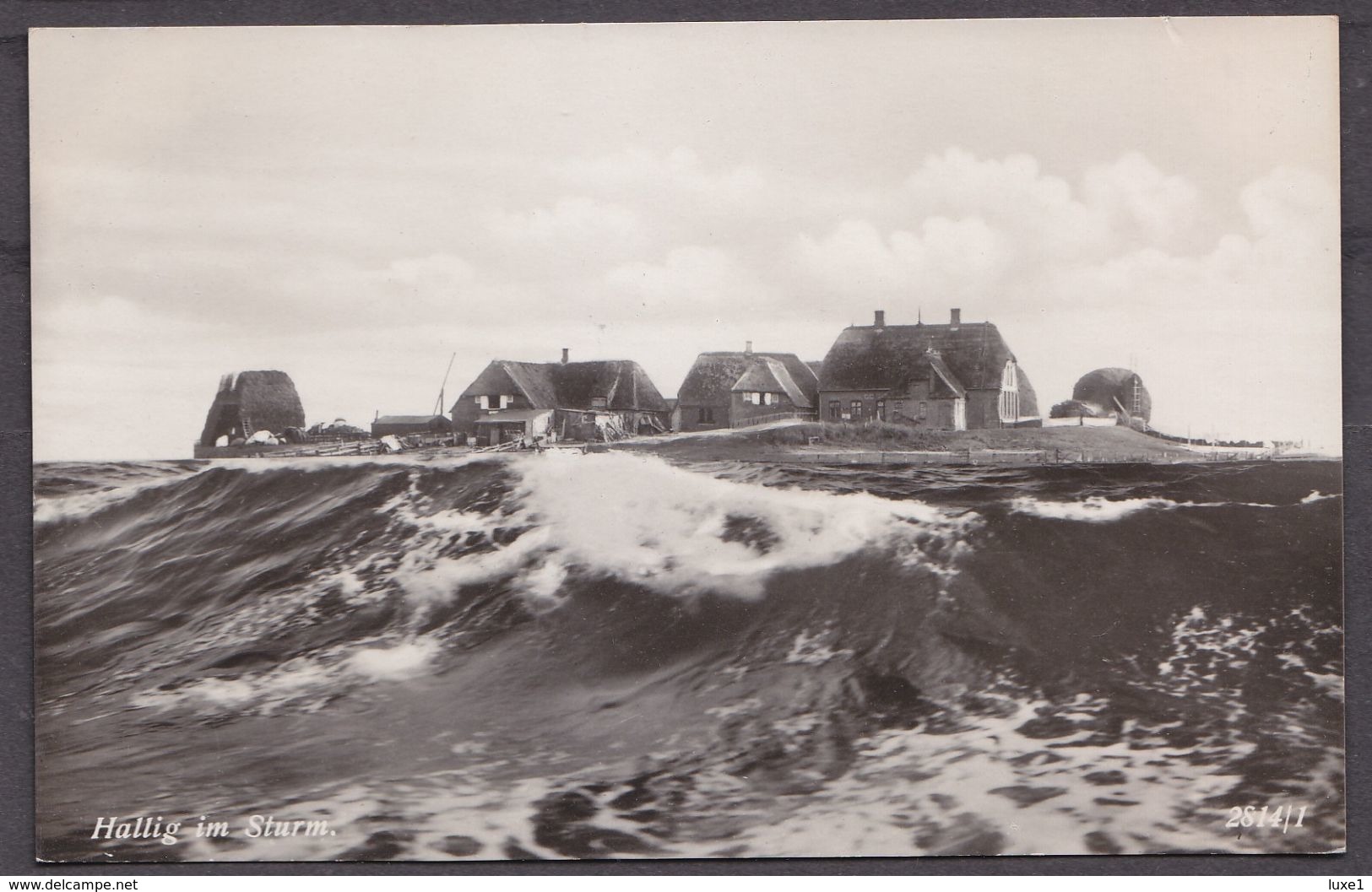 GERMANY ,  HALLIG  HOGE   ,  OLD  POSTCARD - Halligen