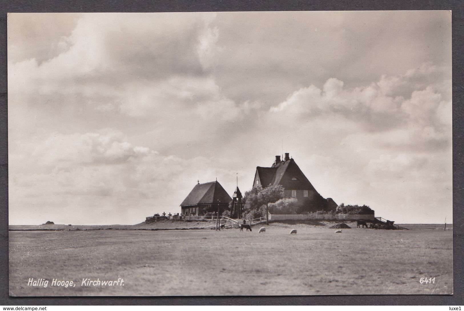 GERMANY ,  HALLIG  HOGE   ,  OLD  POSTCARD - Halligen