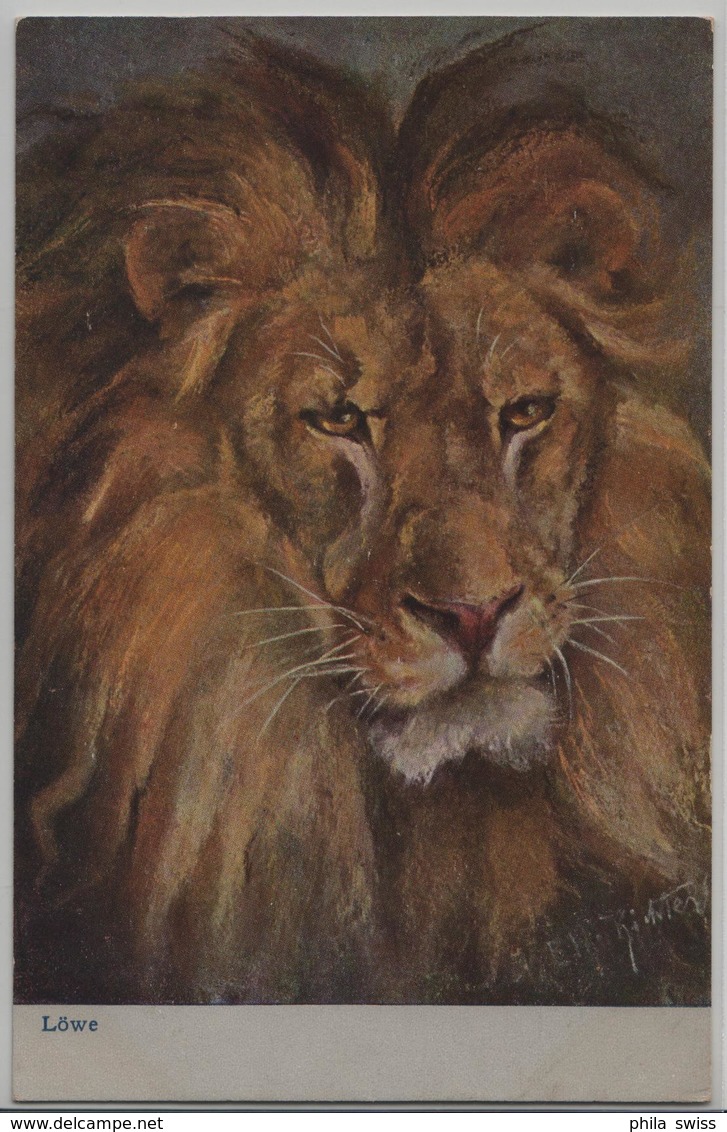 Löwe Lion - Etha Richter - Lions