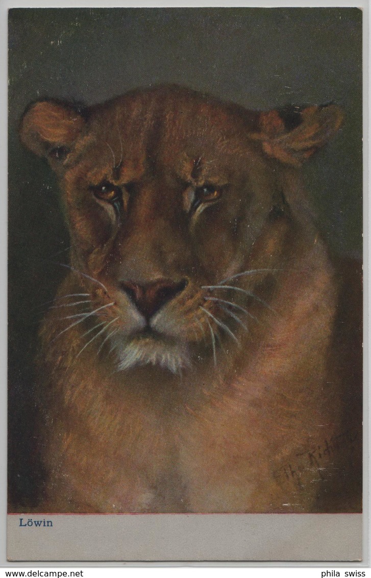 Löwe Lion - Etha Richter - Lions