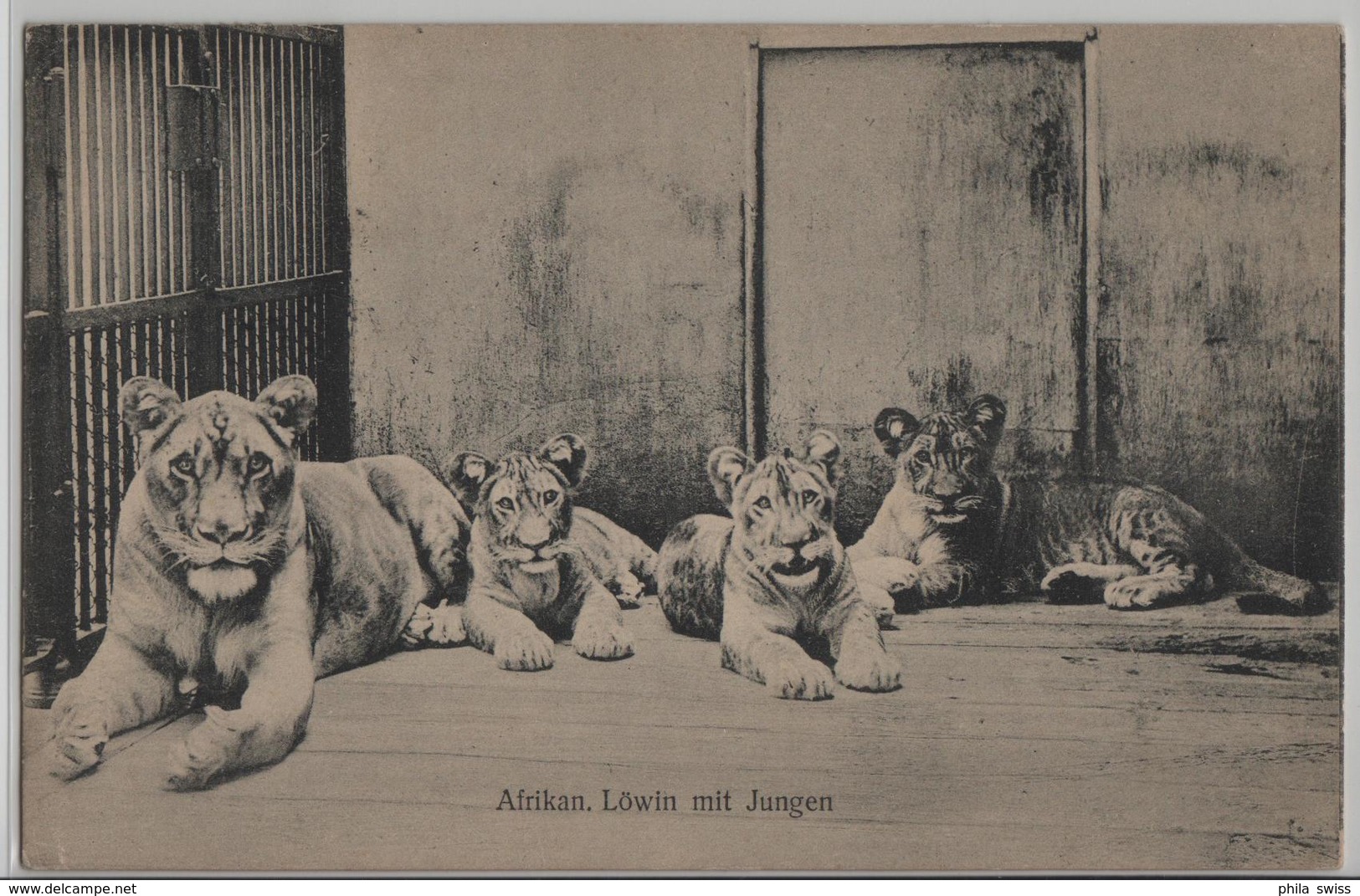 Afrikan. Löwin Mit Jungen Lion - Photo: C. Seebald - Lions