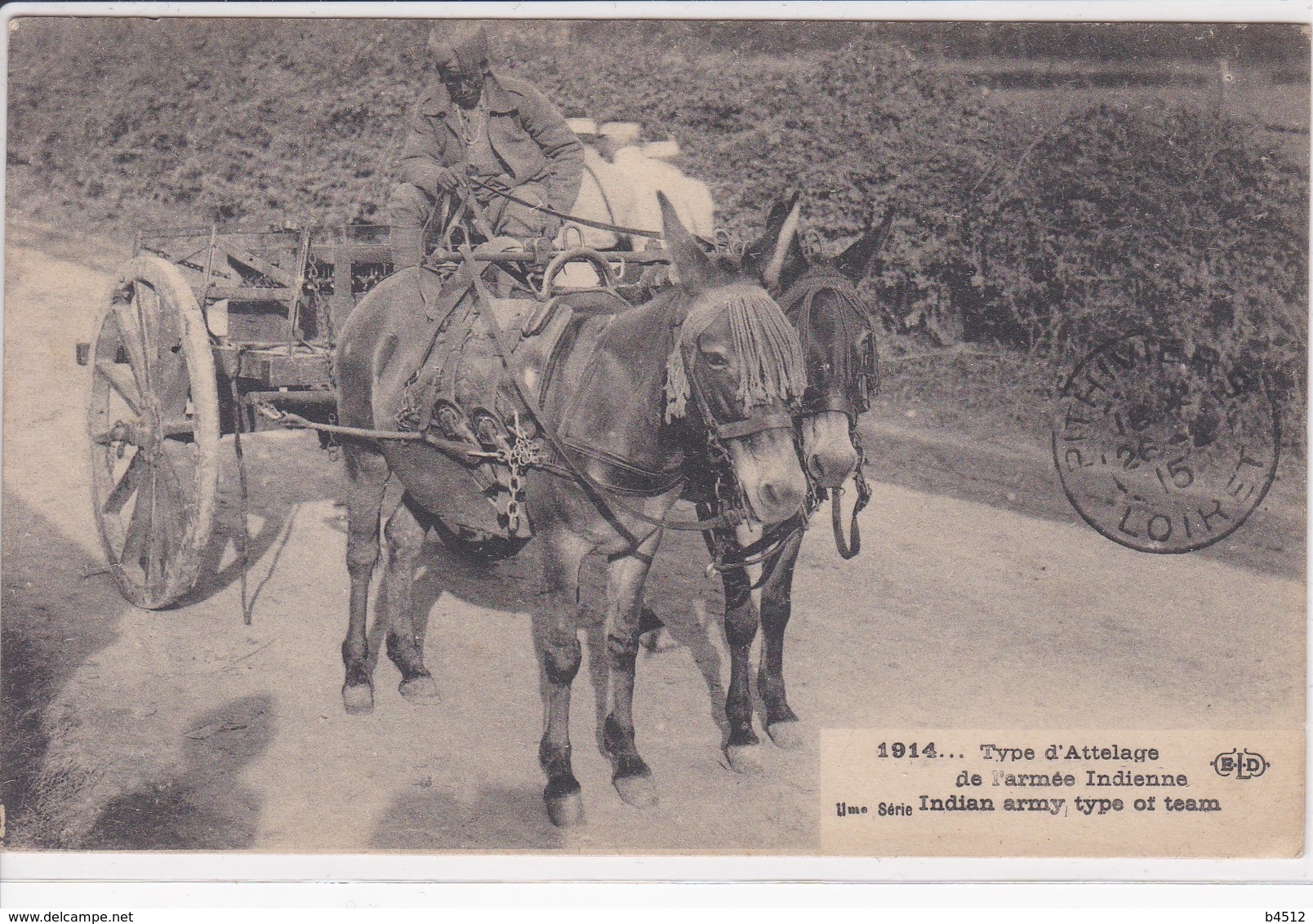 Armée Indienne ,type D'attelage Chevaux ,India Army Type Of Team ,cavalerie 1914 - War 1914-18