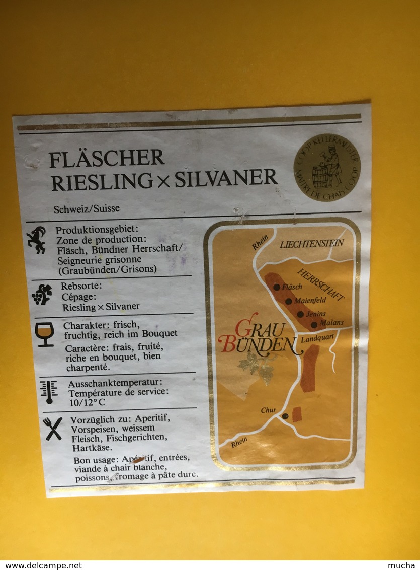 5730 - Fläscher Riesling X Sylvaner 1986 Suisse - Autres & Non Classés