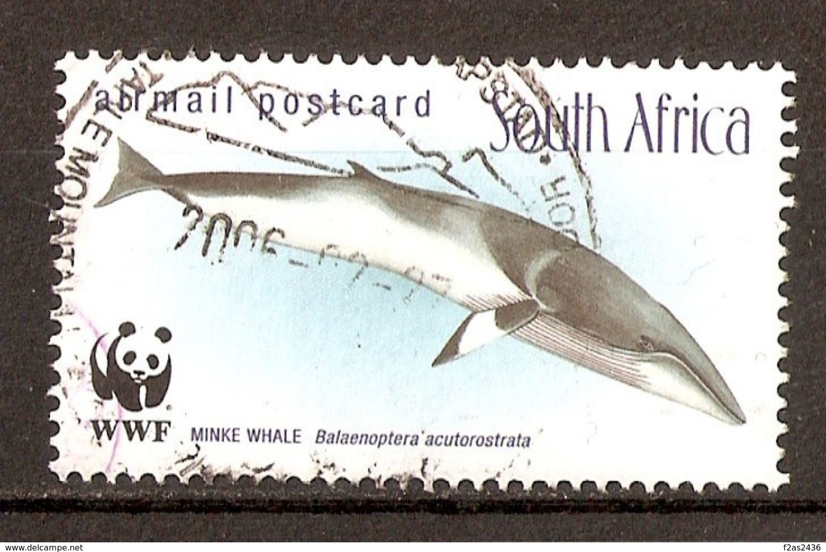 1998 - Mammifères Marins - Petit Rorqual - PA N°28 - Poste Aérienne