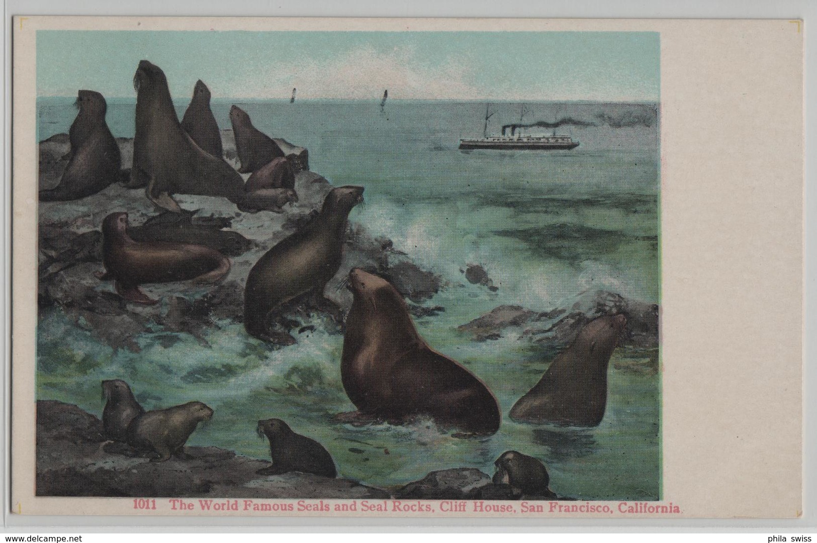 The Worls Famous Seals And Seal Rocks, Cliff House, San Francisco, California - 1011 - Robben - San Francisco