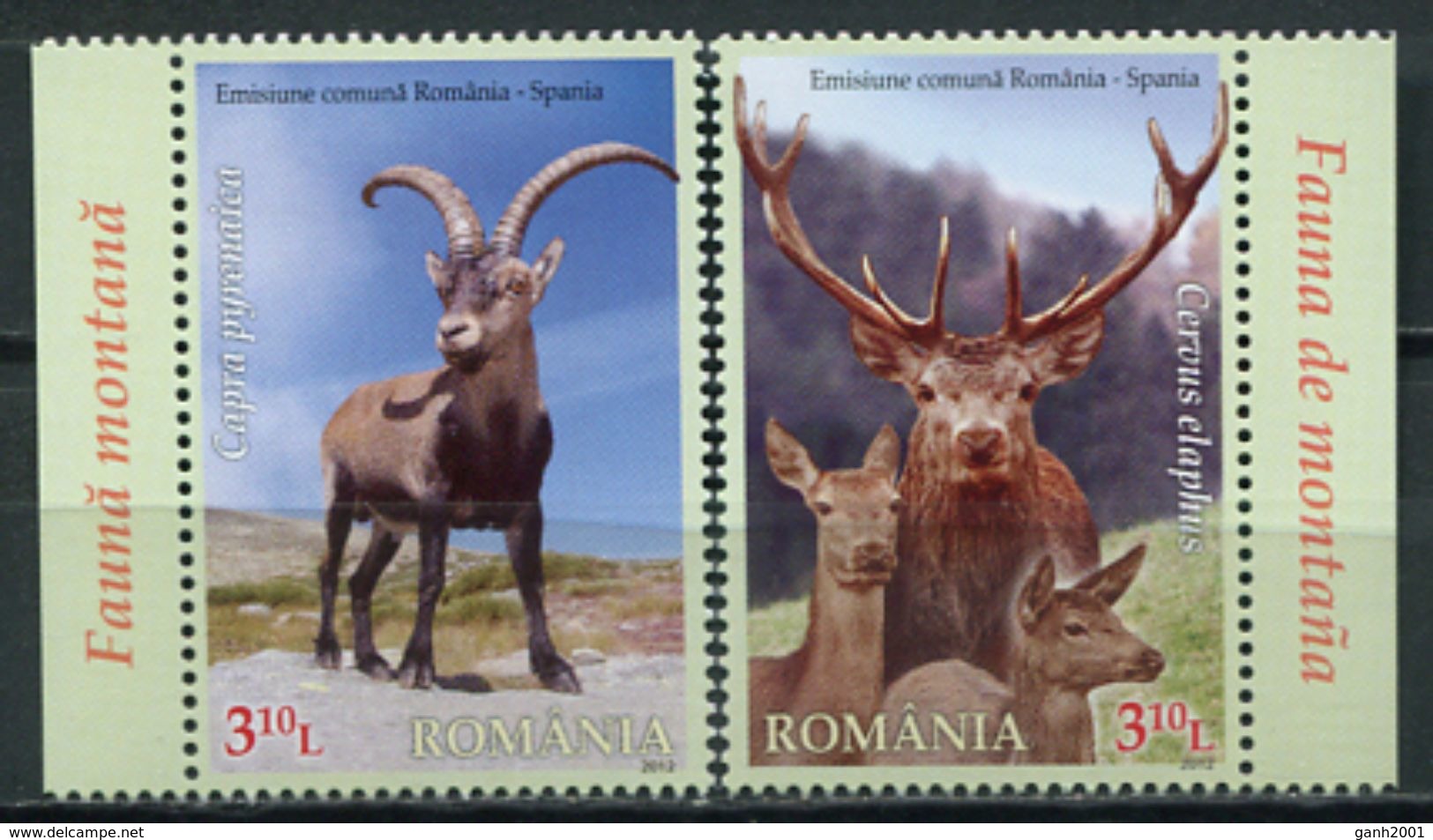 Romania 2012 Rumania / Fauna Mammals Goats Joint Issue Spain MNH Mamíferos Cabras Emisión Conjunta España / Cu6619  10 - Otros & Sin Clasificación