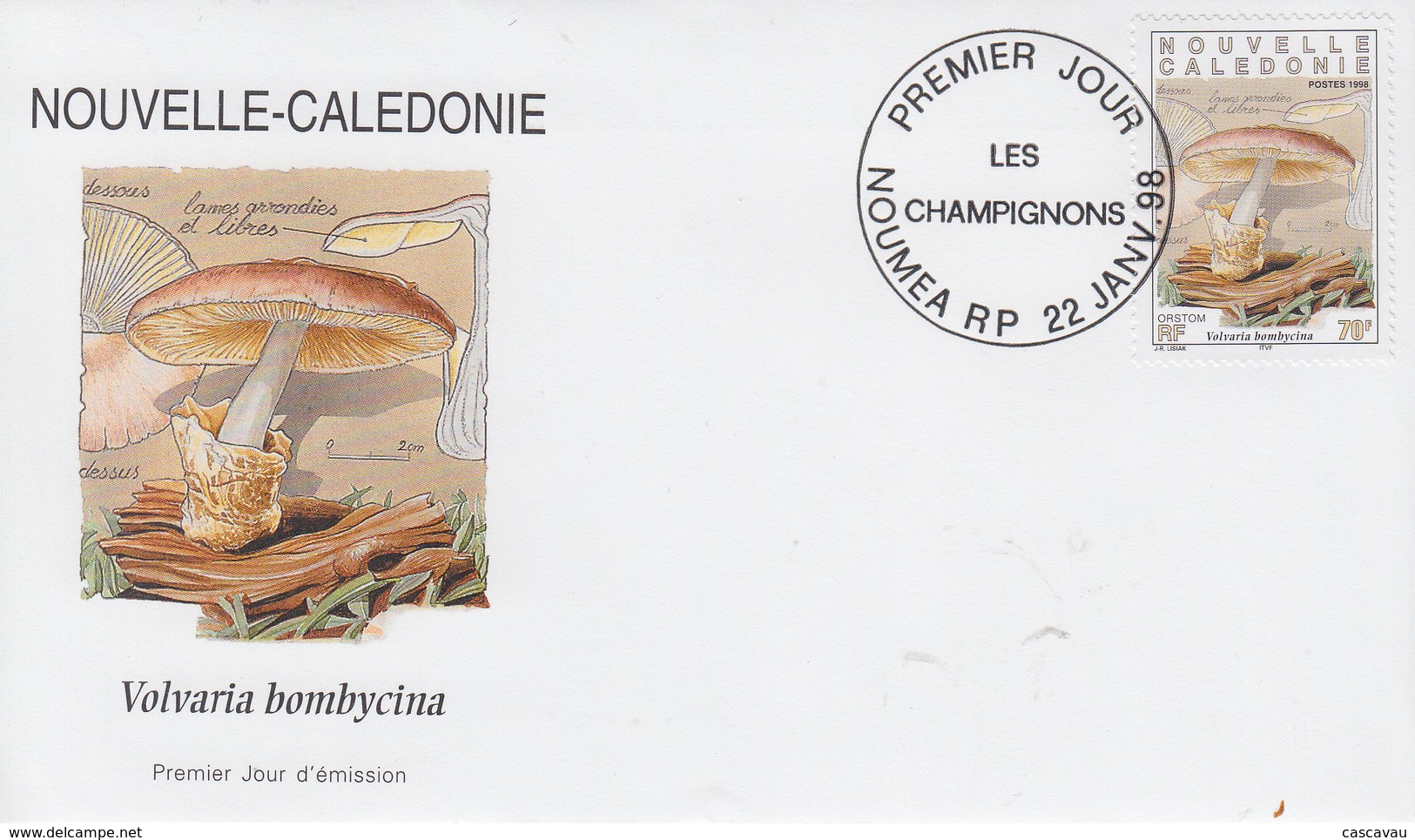 Enveloppe  FDC  1er  Jour   NOUVELLE  CALEDONIE   Champignons   1998 - FDC