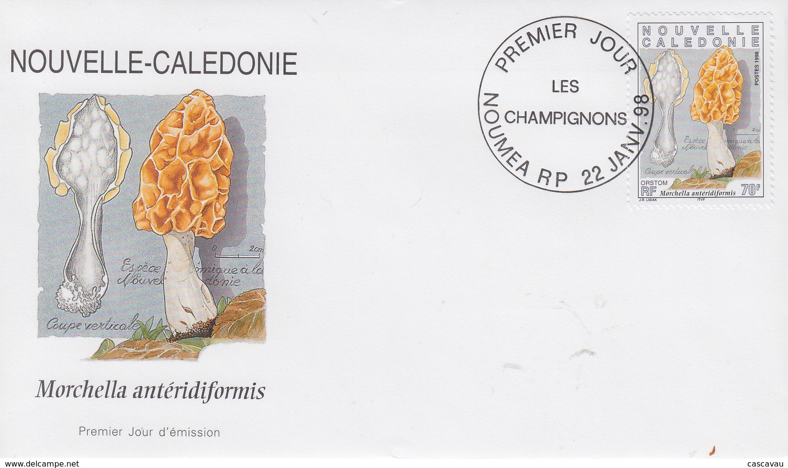 Enveloppe  FDC  1er  Jour   NOUVELLE  CALEDONIE   Champignons   1998 - FDC