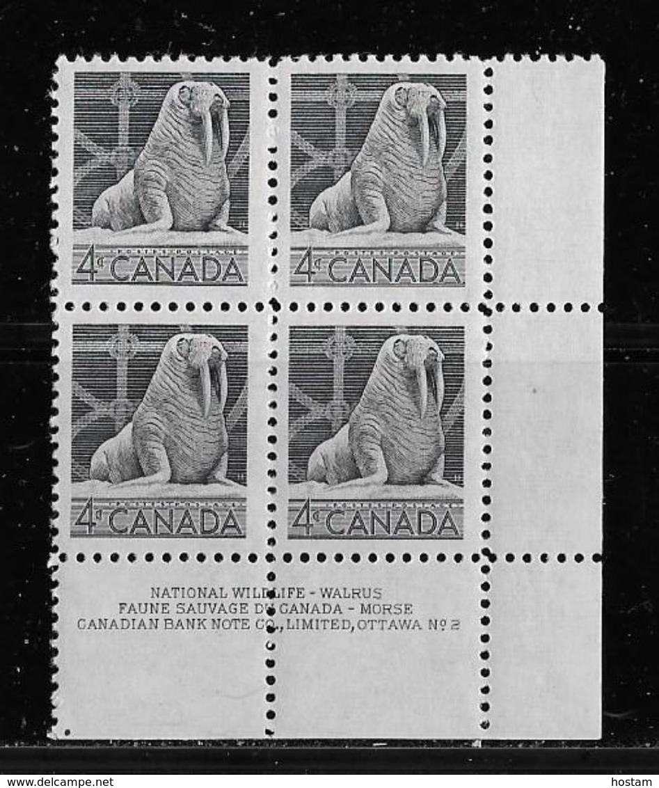 CANADA 1953, #335,  MNH, WILDLIFE:  WALRUS, Plate 2 LR      MNH - Neufs