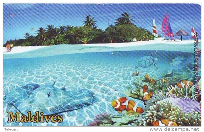 Télécarte MALDIVES * TURTLE  (2229) PHONECARD  *  * TORTUE *  TELEFONKARTE * SCHILDKRÖTE - Turtles