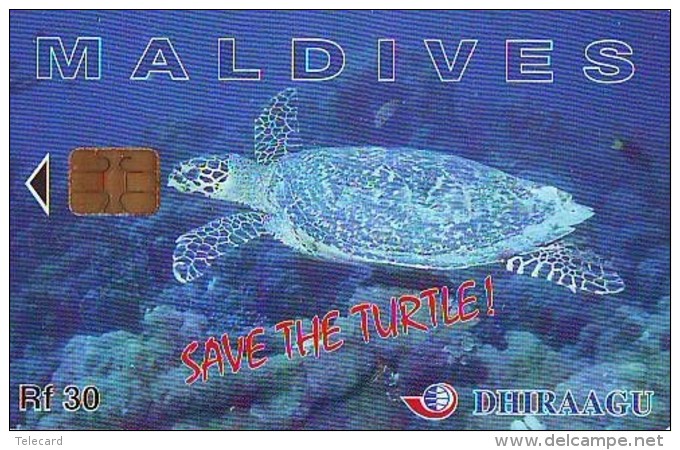 Télécarte MALDIVES * TURTLE  (2230) PHONECARD  *  * TORTUE *  TELEFONKARTE * SCHILDKRÖTE - Turtles