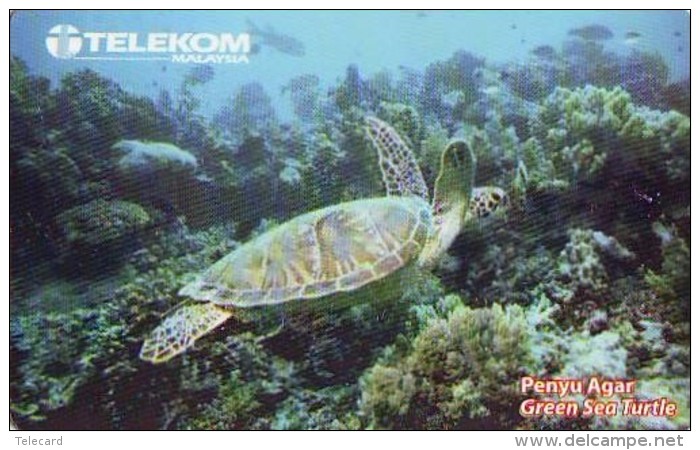 Télécarte MALAYSIA * TURTLE  (2233) PHONECARD  *  * TORTUE *  TELEFONKARTE * SCHILDKRÖTE - Turtles