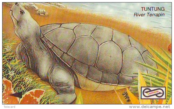 Télécarte MALAYSIA * TURTLE  (2234) PHONECARD  * 56MSAA * TORTUE *  TELEFONKARTE * SCHILDKRÖTE - Tortugas