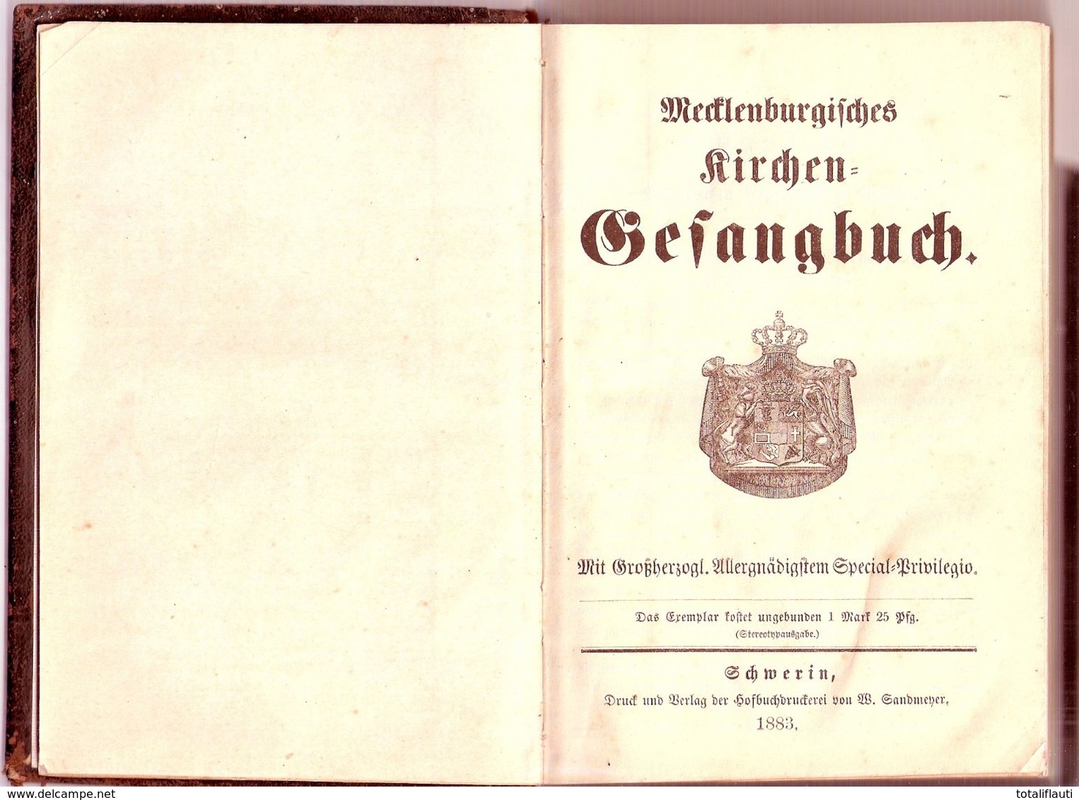 Mecklenburg Kirchen Gesang Und Gebetbuch 1883 Gold Prägedruck Verlag Sandmeyer Schwerin - Christianisme