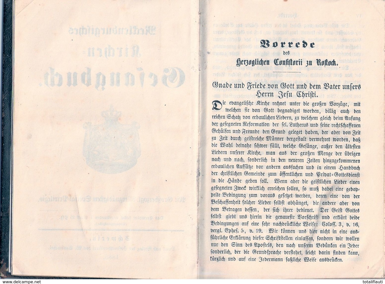 Mecklenburg Kirchen Gesang Und Gebetbuch 1883 Gold Prägedruck Verlag Sandmeyer Schwerin - Christentum