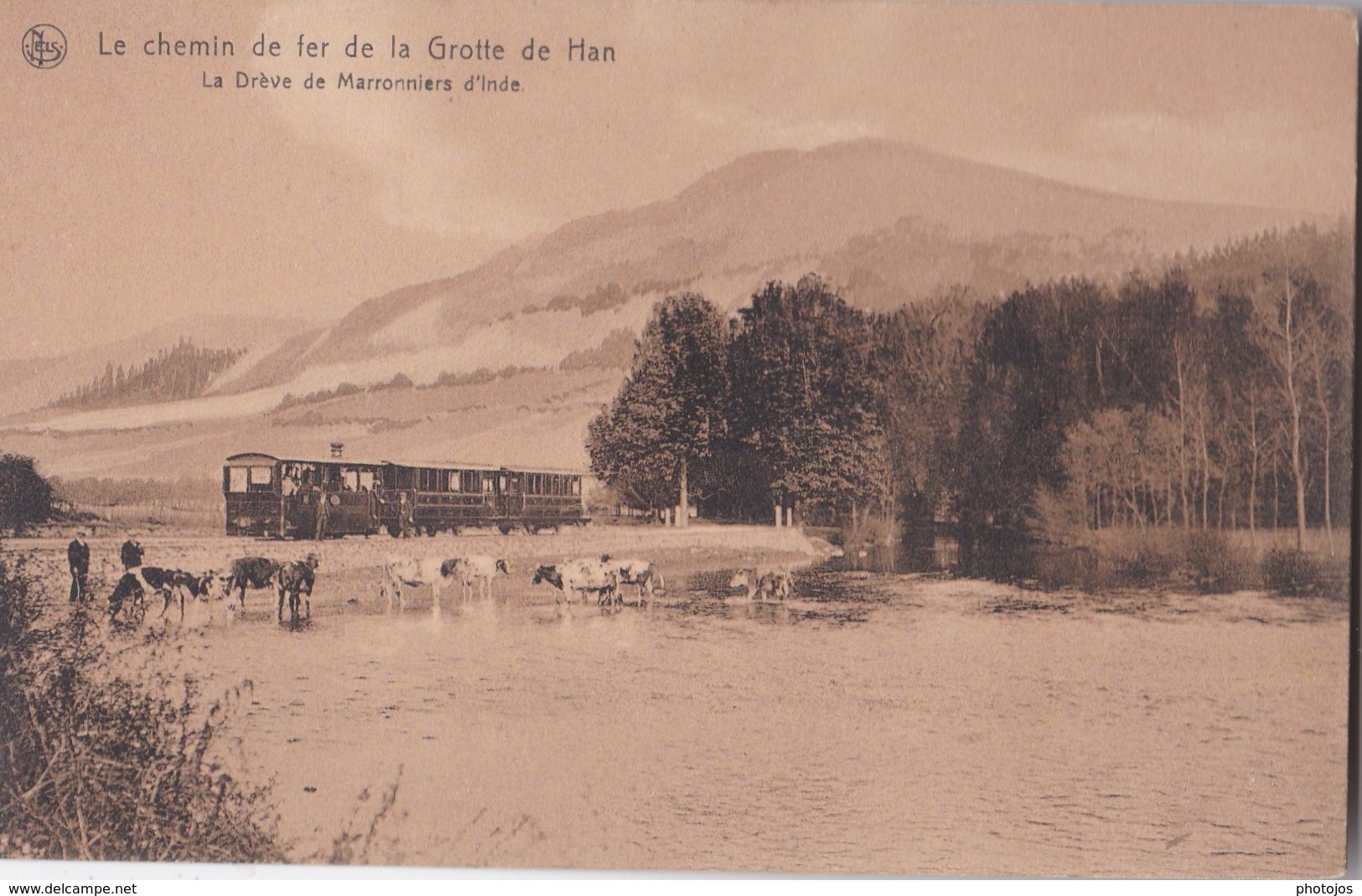 Carte Postale  : Le Chemin De Fer De La Grotte De Han  (Belgique)  La Drève De Marronniers D'>Inde   Nels    Train - Altri & Non Classificati