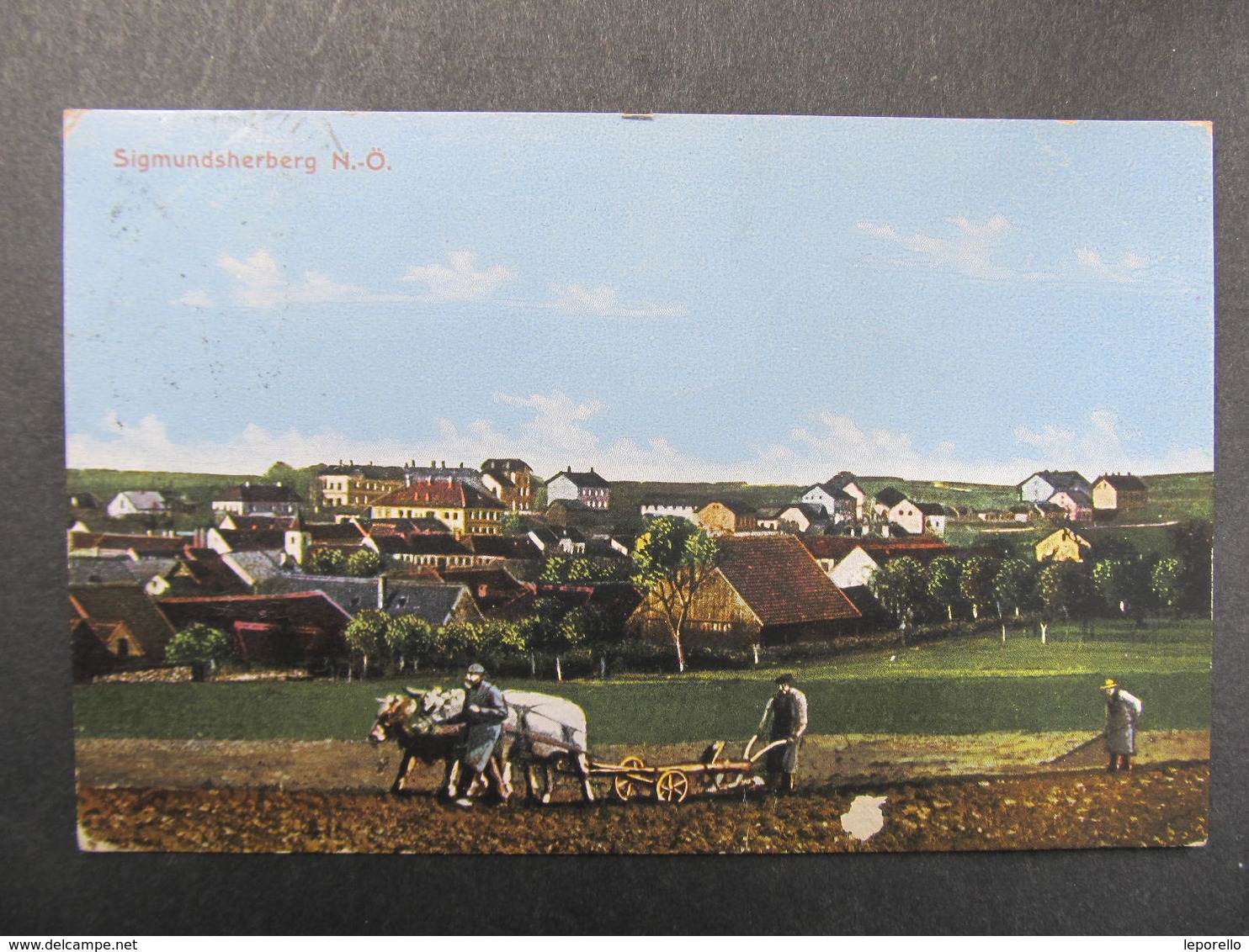 AK SIGMUNDSHERBERG B. HORN 1915 /// D*29759 - Horn
