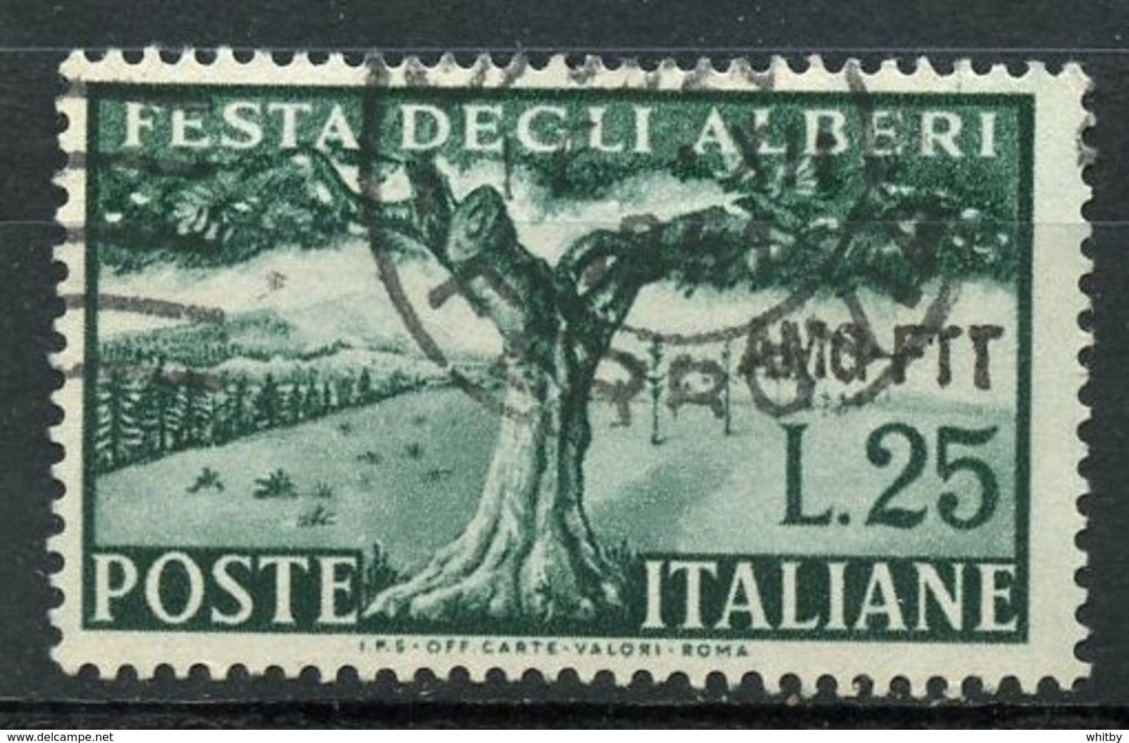 Italy (Trieste) 1951 25 L Tree Issue #137 - Used