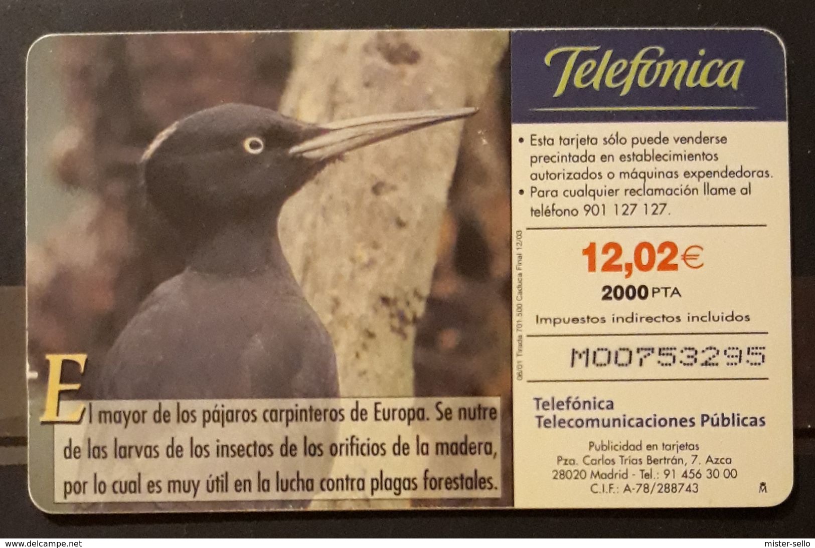 ESPAÑA 2001. FAUNA IBÉRICA - BIRDS - PITO NEGRO. USADO - USED - Otros & Sin Clasificación