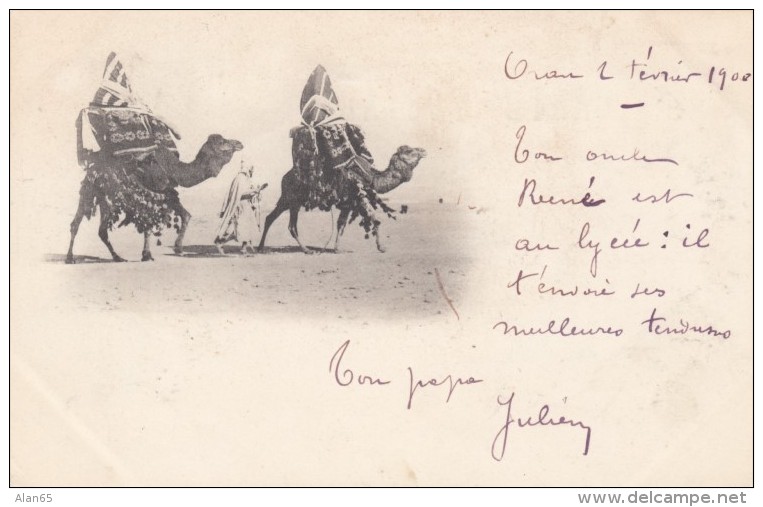 Algeria Desert Scene 2 Camels Carrying Loads And Man, C1890s/1900s Vintage Postcard - Scenes