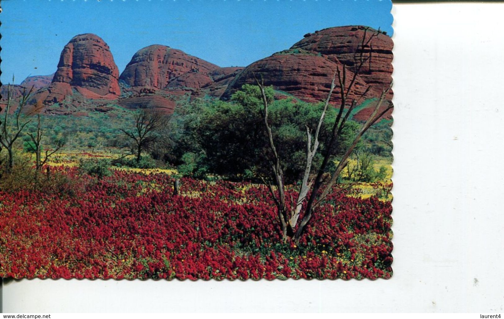 (35) Australia - (with Stamp At Back Of Postcard) NT - Mt Olga Kata Malu - Uluru & The Olgas