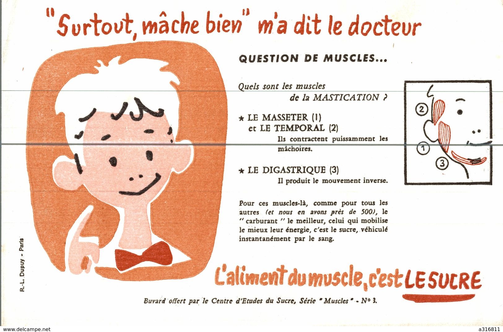 SURTOUT MACHE BIEN M A DIT LE DOCTEUR - M