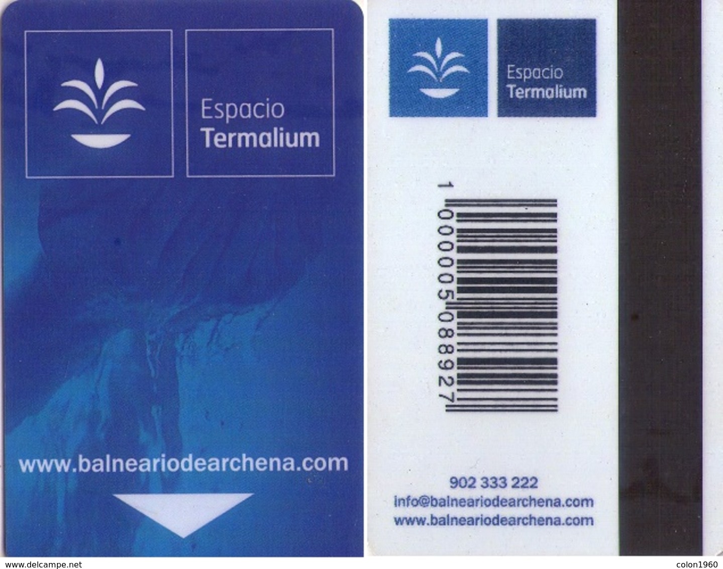 SPAIN. HOTEL KEY CARD. BALNEARIO DE ARCHENA (MURCIA). 019. - Cartas De Hotels