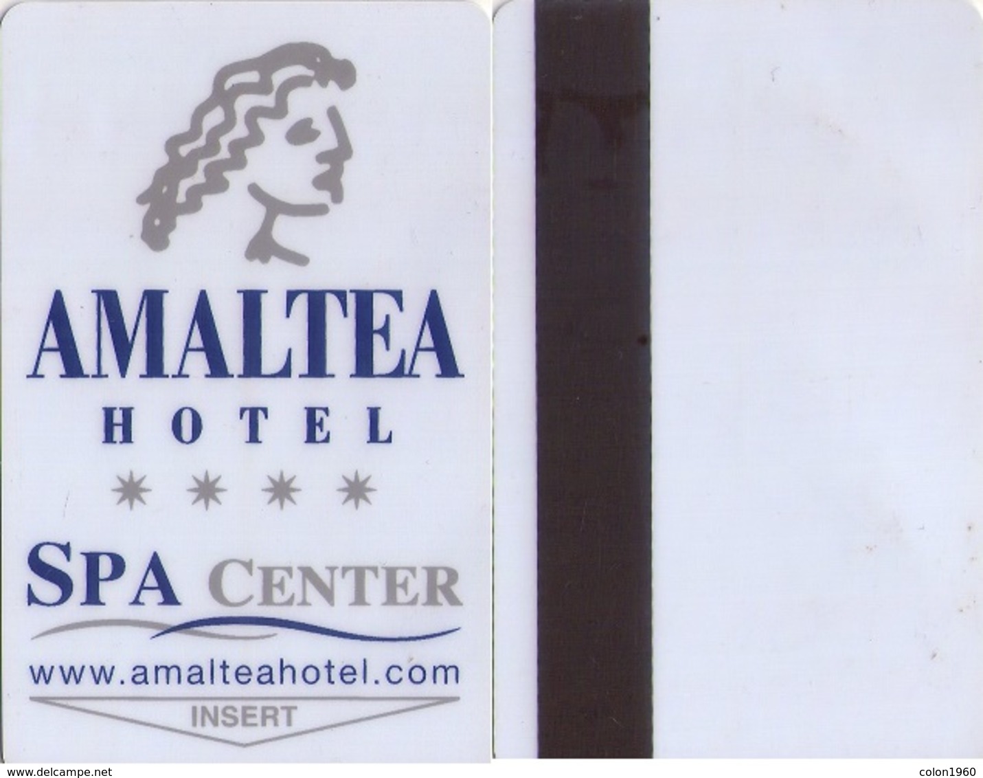 SPAIN. HOTEL KEY CARD. AMALTEA HOTEL. (LORCA, MURCIA) 007. - Cartas De Hotels