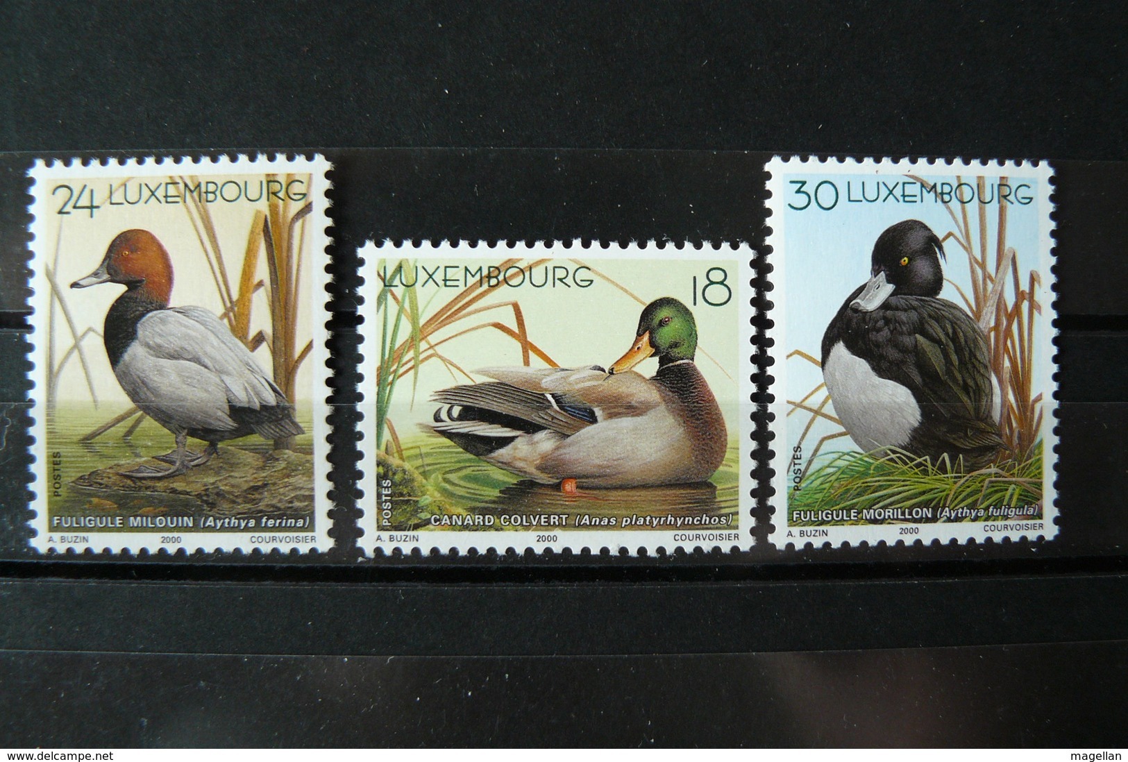 Luxembourg YT N° 1453/5 Neufs ** (MNH) - Canards - Canards