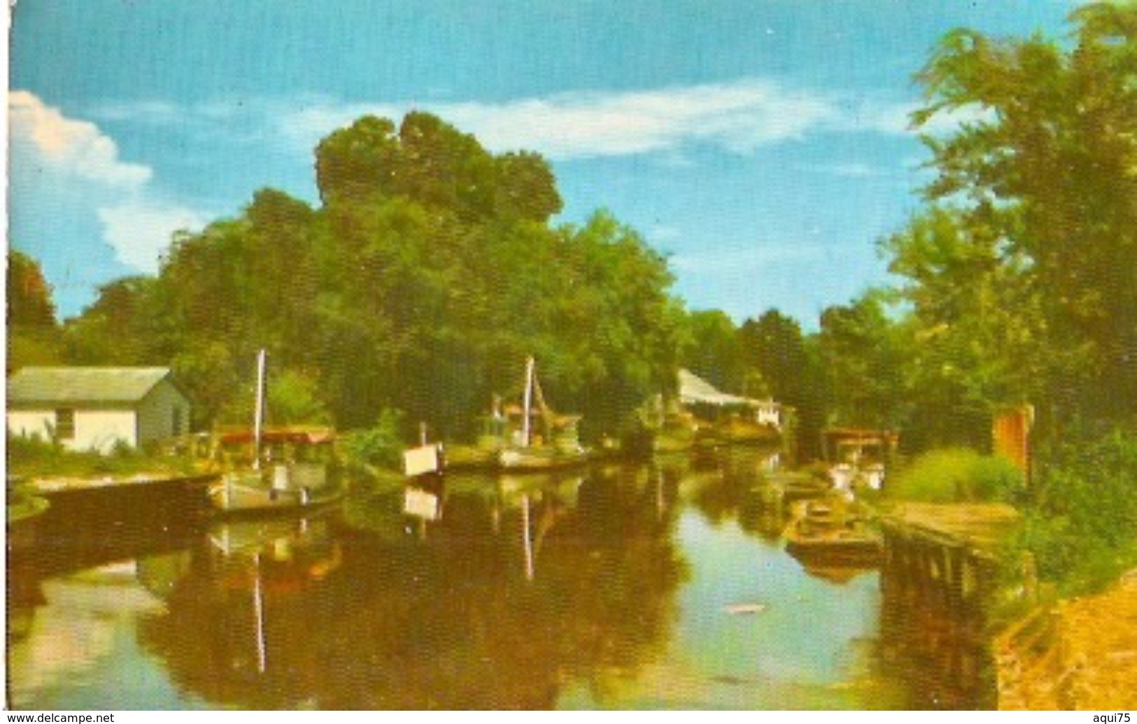 BAYOU Shrimp Boats    A Familiars Sight In Te South - Autres & Non Classés