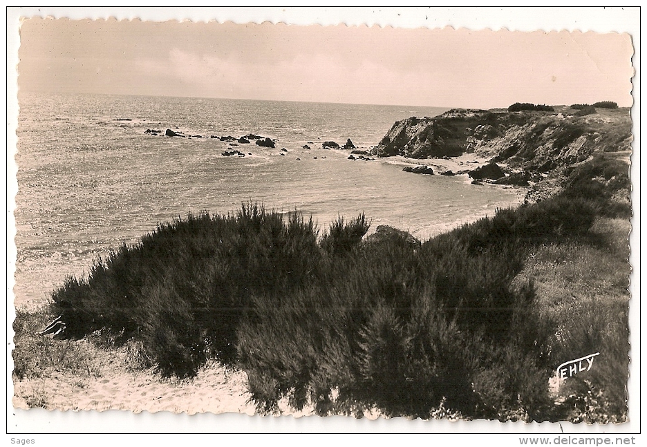 Hexagonal Tireté BRETIGNOLLES Vendée. - 1921-1960: Période Moderne