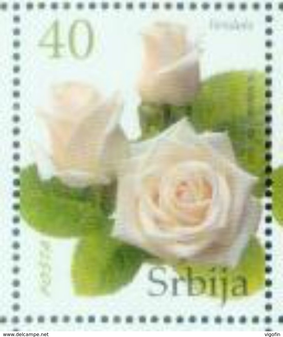 SRB 2007-187 DEFINITIVE ROSE, SERBIA, 1 X 1v, MNH - Rosen