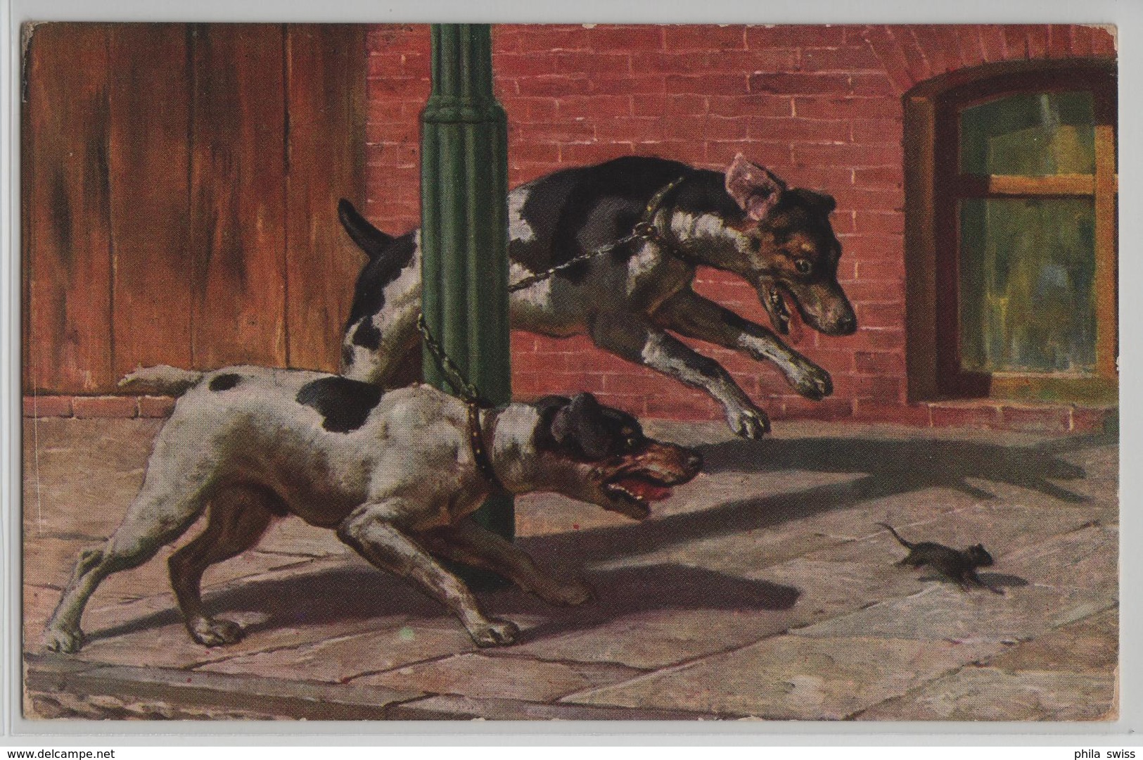Hunde Jagen Eine Maus - Dogs Chase A Mouse - Serie 207 - Chiens