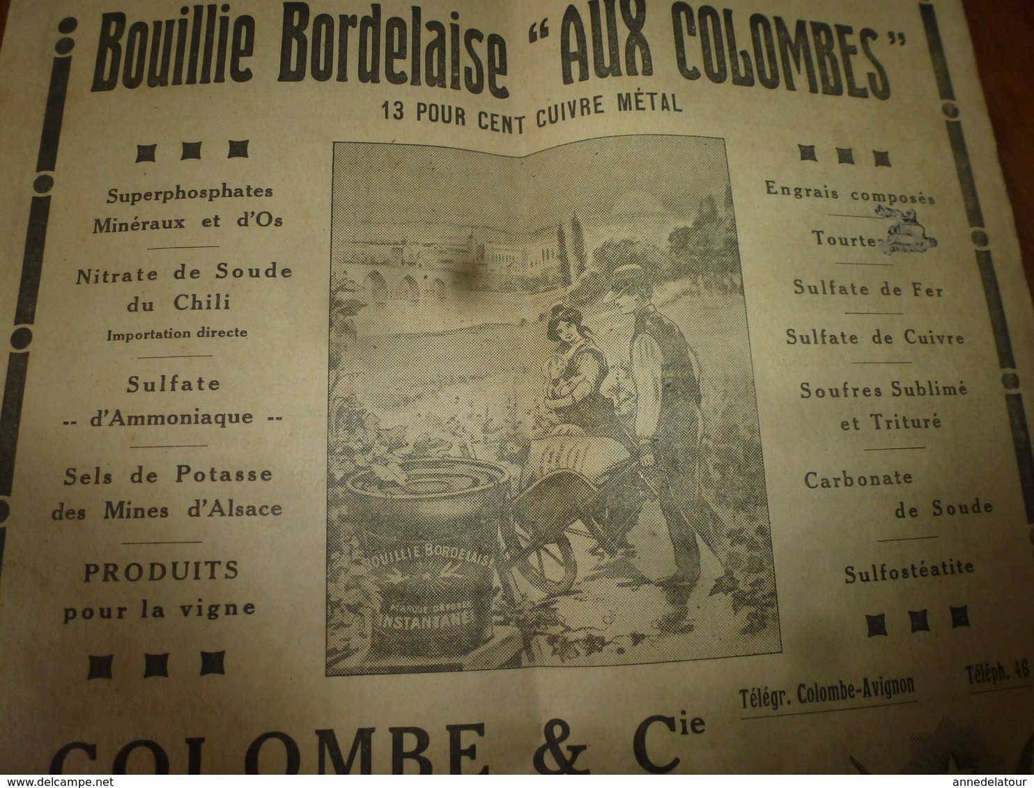 1925 LE BIEN DU TERRIEN ---> Journal:  Virulent Plaidoyer Contre Les Salopards; Les Asperges De L'île De Ré; Etc - Autres & Non Classés