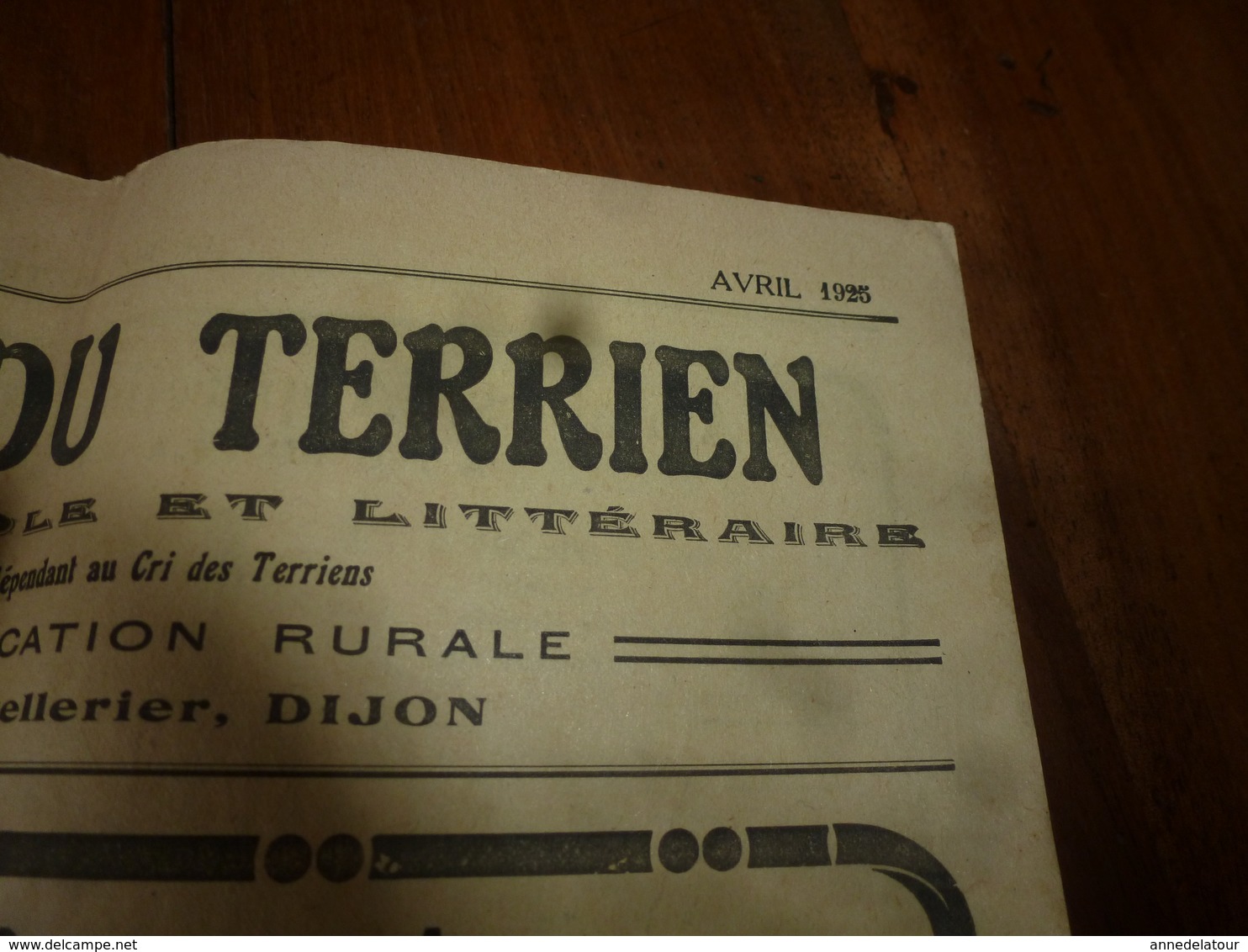 1925 LE BIEN DU TERRIEN ---> Journal:  Virulent Plaidoyer Contre Les Salopards; Les Asperges De L'île De Ré; Etc - Autres & Non Classés