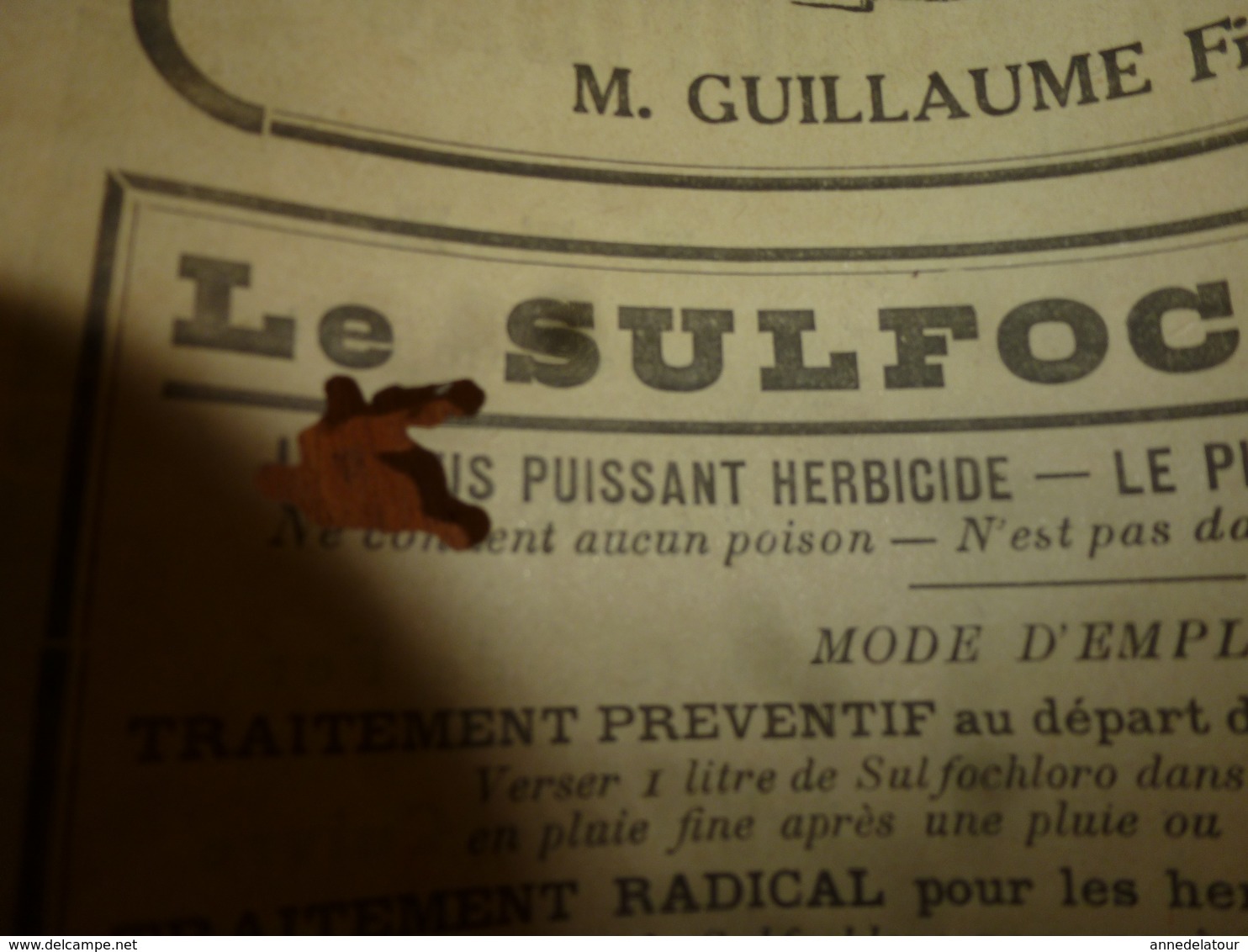 1925 LE BIEN DU TERRIEN ---> Journal:  Virulent Plaidoyer Contre Les Salopards; Les Asperges De L'île De Ré; Etc - Autres & Non Classés