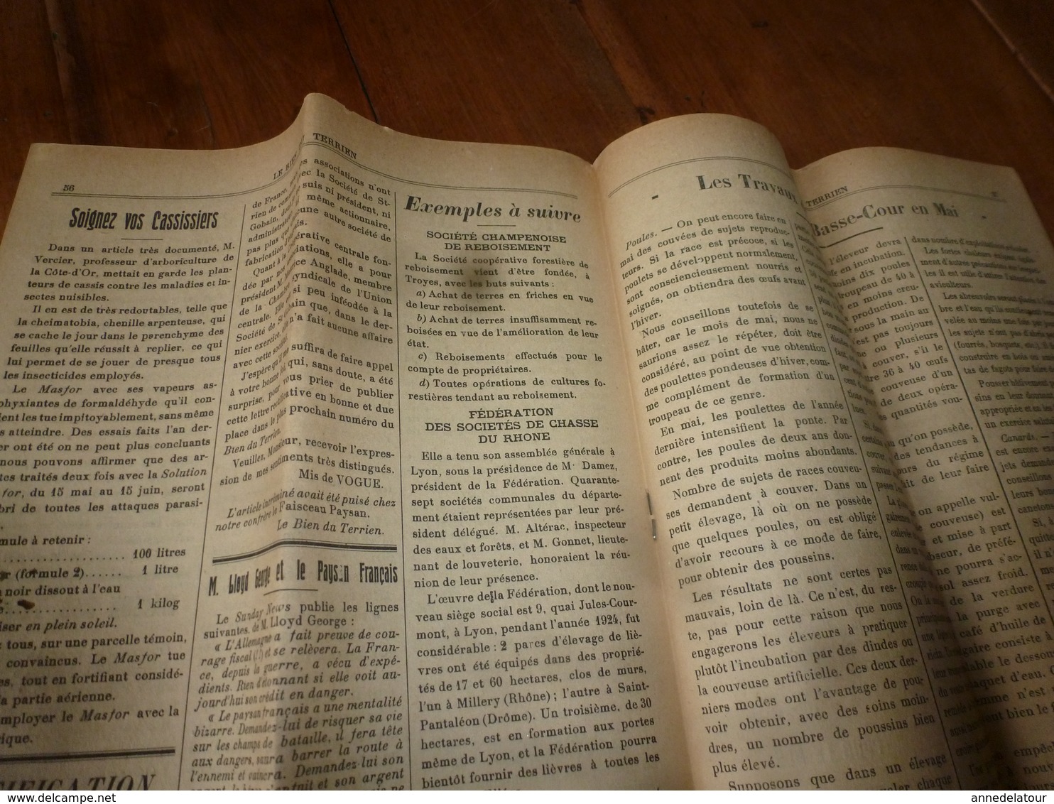 1925 LE BIEN DU TERRIEN ---> Journal:  virulent plaidoyer contre les salopards; Les asperges de l'île de Ré; etc